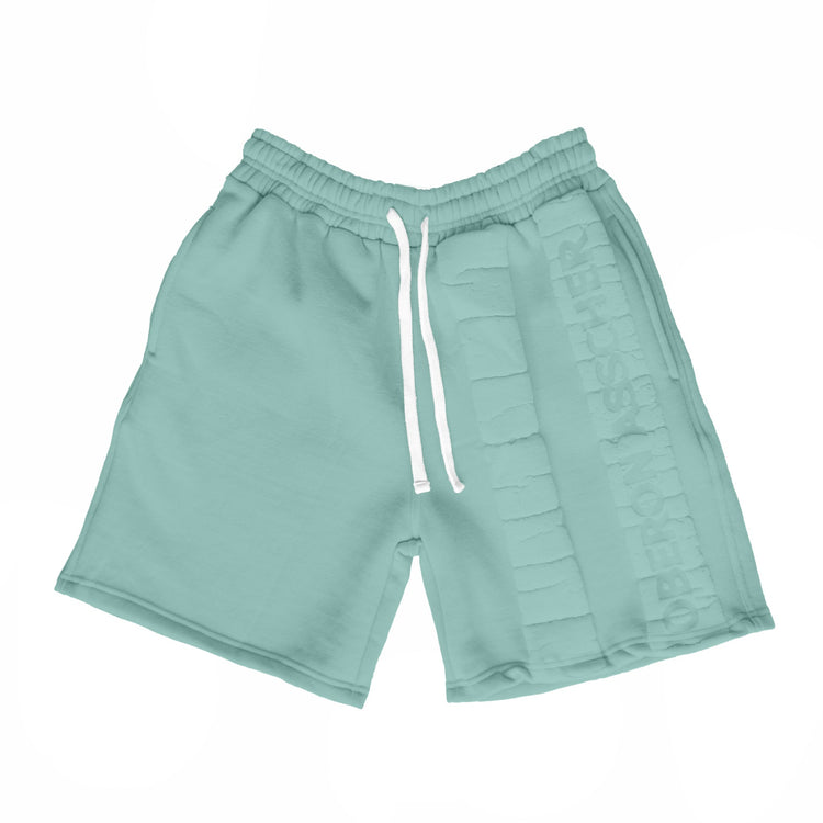 Teal Street Runner Shorts - Oberon Asscher